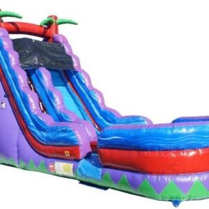 19' Purple Slide